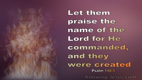 Psalm 148:5 Let Them Praise The Name Of The Lord (pink)